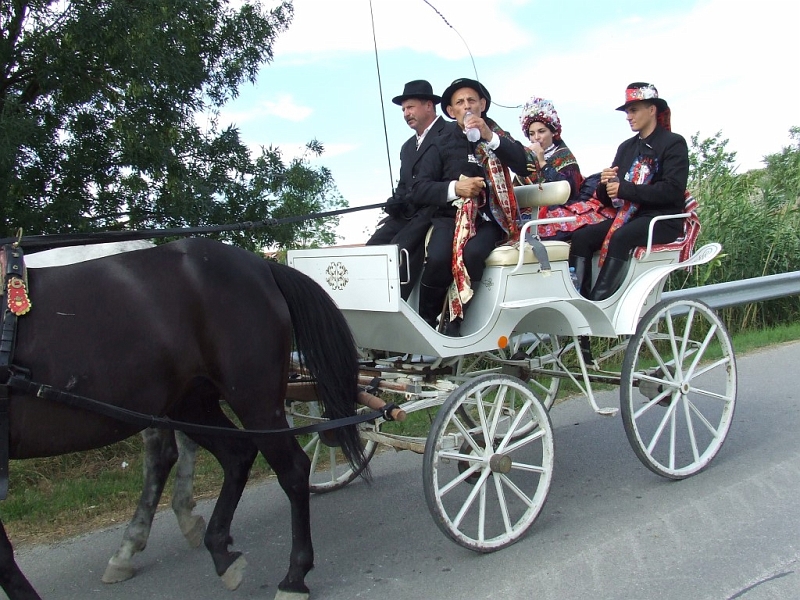 DSCF9970 (Medium).JPG